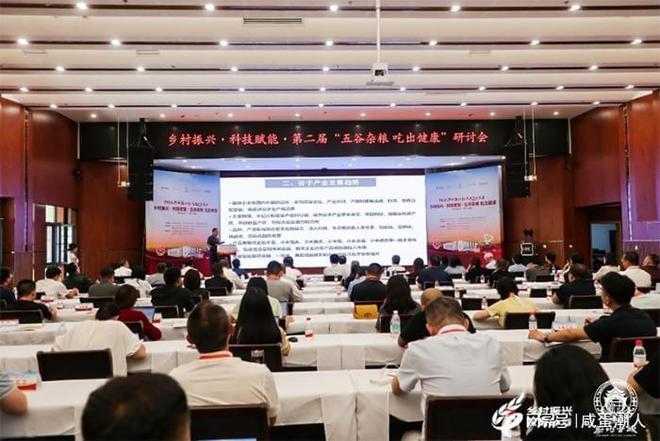 企业怎么做？自主科技创新是关键麻将胡了游戏小杂粮拥有大市场