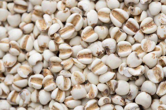 这4种米补足营养为入冬打好基础麻将胡了深秋建议中老年人:多吃(图1) 这4种米补足营养为入冬打好基础麻将胡了深秋建议中老年人:多吃(图1)