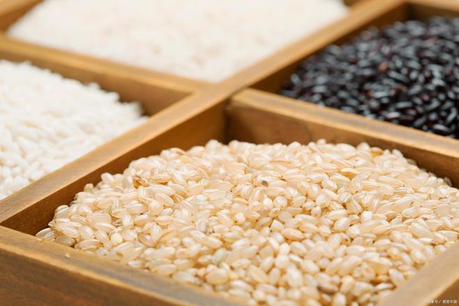 这4种米补足营养为入冬打好基础麻将胡了深秋建议中老年人:多吃(图4) 这4种米补足营养为入冬打好基础麻将胡了深秋建议中老年人:多吃(图4)
