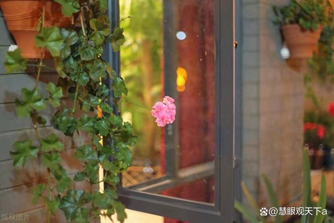 拉开差距的并不是养老金问题而是这些细节PG电子麻将胡了2试玩退休后才发现与人