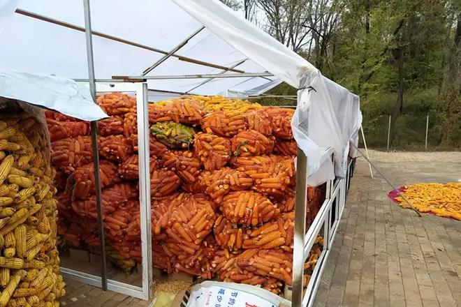 3年在河北去世农民家发现“鸡跳脚”PG电子麻将胡了曾差点消失！202(图4)