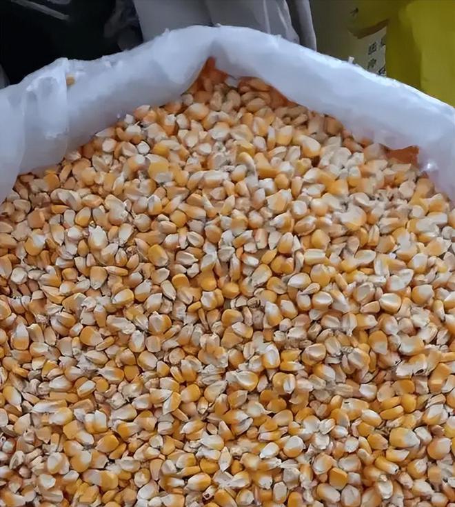 3年在河北去世农民家发现“鸡跳脚”PG电子麻将胡了曾差点消失！202(图7)