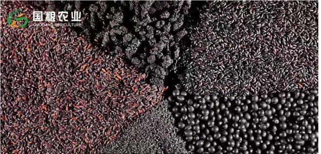 杂粮粉：传统与现代的完美融合麻将胡了电子游戏国粮农业黑色(图1)