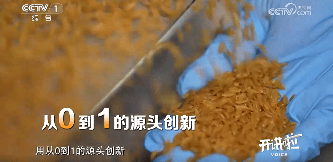 奇院士解锁食物密码用科研守护粮食安全PG麻将胡了模拟器央视开讲！深大吴(图2)